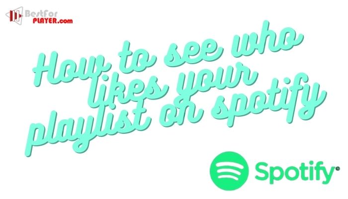 How To See Who Likes Your Playlist On Spotify Best For Player