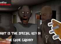 What is the special key for in the game granny